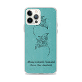 Manta ray ocean case